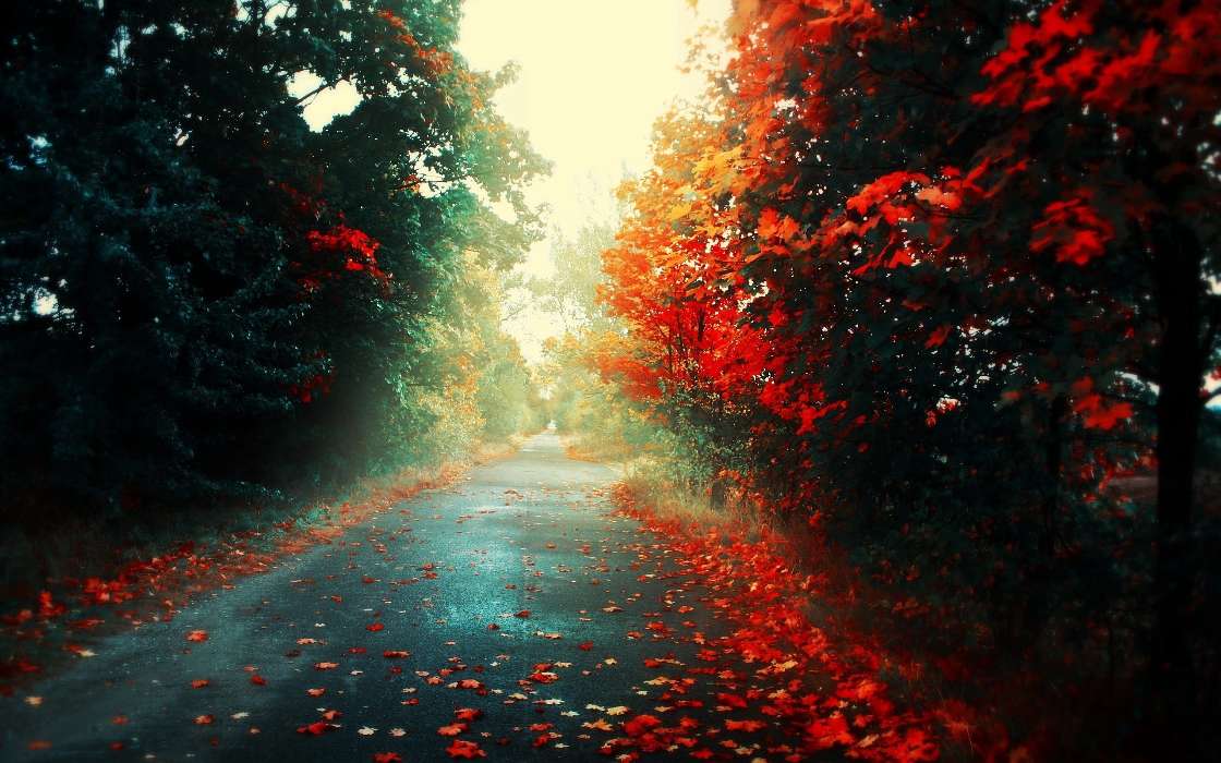Landschaft,Roads,Herbst