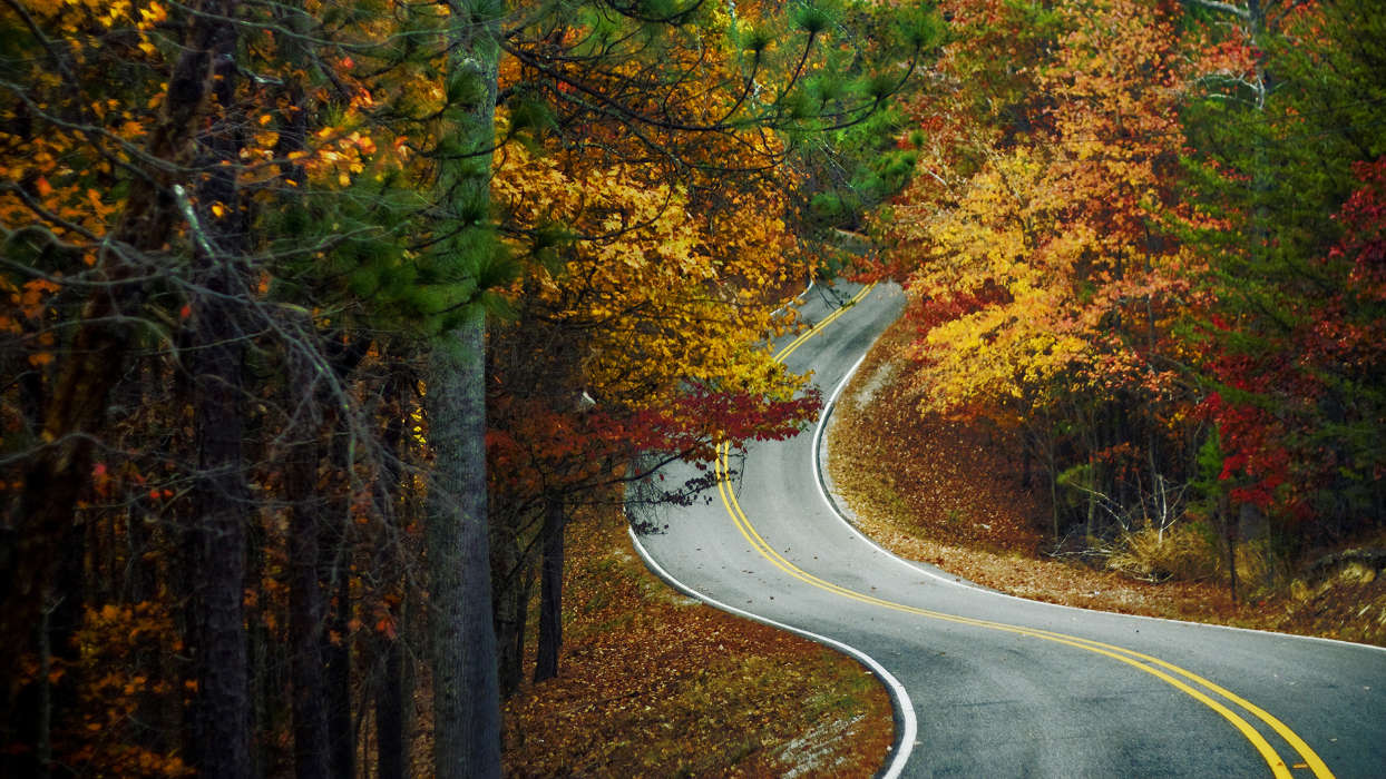 Roads,Herbst,Landschaft