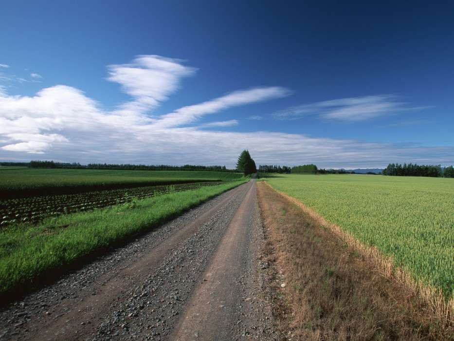 Landschaft,Roads