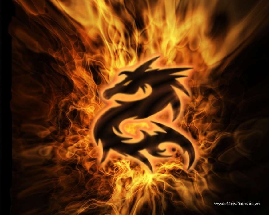 Hintergrund,Logos,Dragons,Feuer