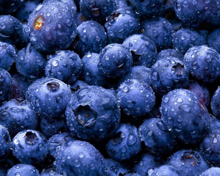 Pflanzen,Lebensmittel,Hintergrund,Blueberry,Berries