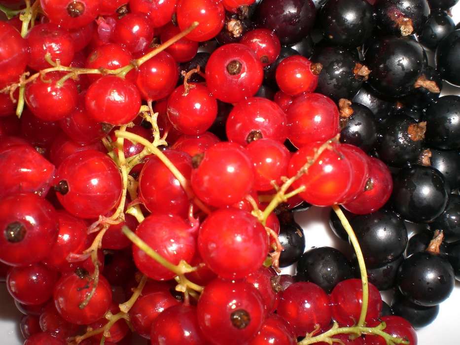 Obst,Lebensmittel,Berries