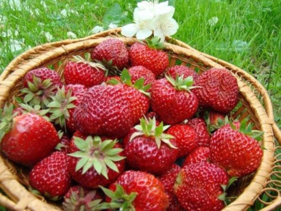 Pflanzen,Obst,Lebensmittel,Erdbeere,Berries