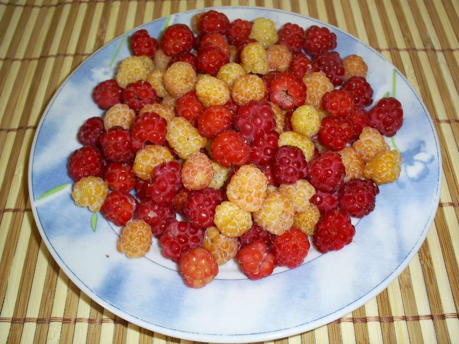 Obst,Lebensmittel,Himbeere,Berries