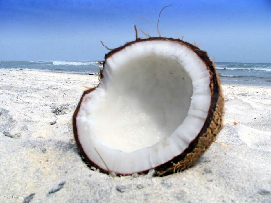Lebensmittel,Coconuts