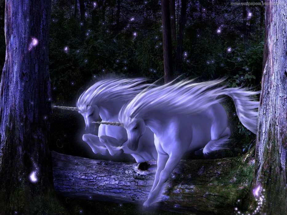 Unicorns,Fantasie