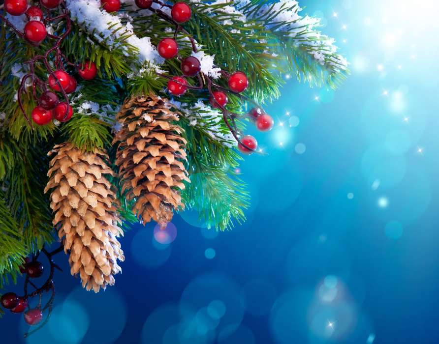 Feiertage,Hintergrund,Cones,Neujahr,Tannenbaum,Weihnachten