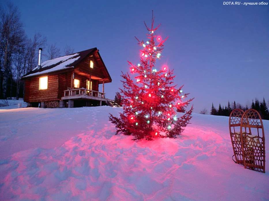 Feiertage,Landschaft,Winterreifen,Neujahr,Tannenbaum,Weihnachten