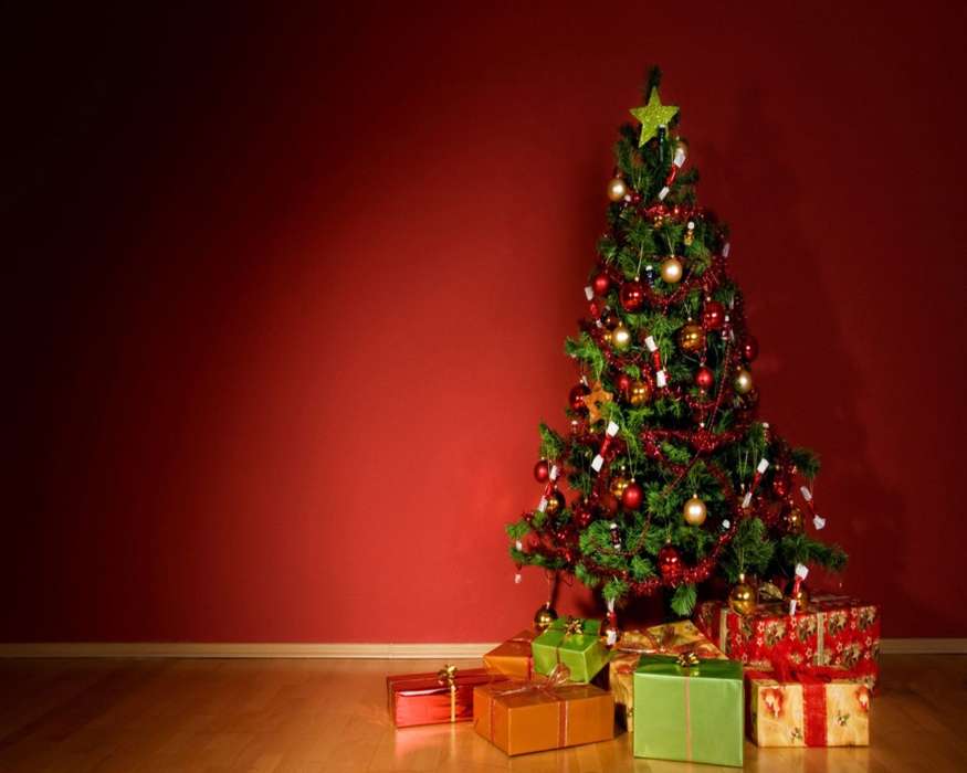 Feiertage,Neujahr,Tannenbaum,Weihnachten