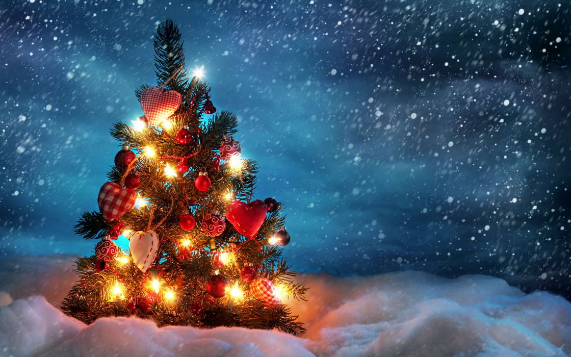 Feiertage,Neujahr,Schnee,Tannenbaum,Weihnachten