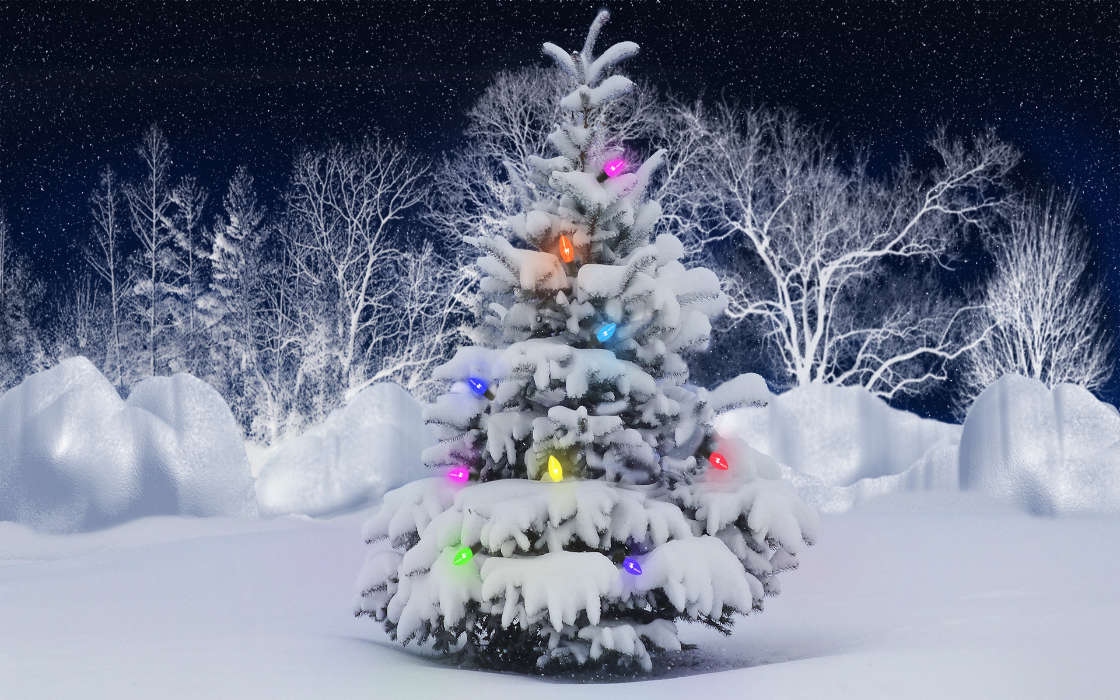 Tannenbaum,Weihnachten,Feiertage,Neujahr,Schnee