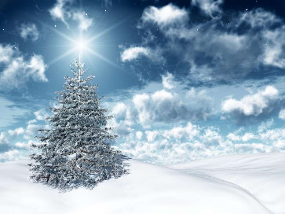 Feiertage,Winterreifen,Sterne,Neujahr,Tannenbaum,Weihnachten