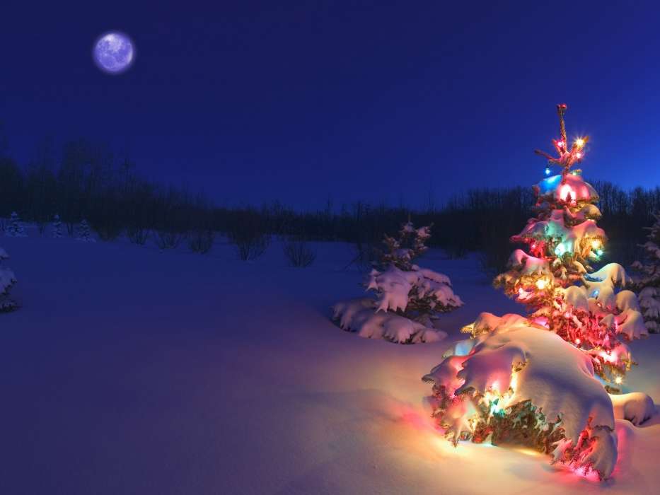 Feiertage,Neujahr,Schnee,Tannenbaum