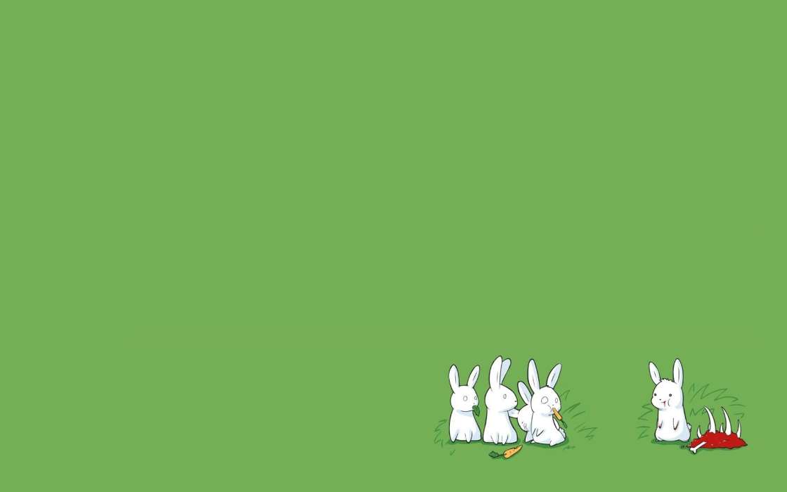 Humor,Hintergrund,Kaninchen