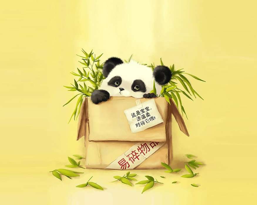 Hintergrund,Pandas,Tiere