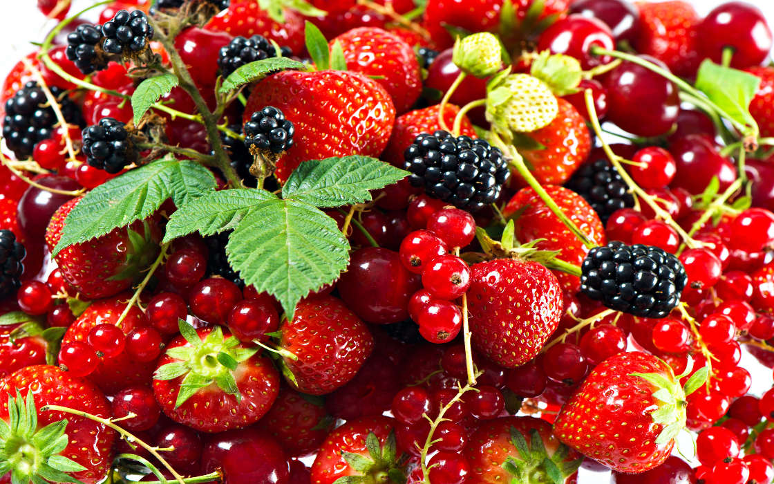 Pflanzen,Obst,Erdbeere,Johannisbeere,Blackberry