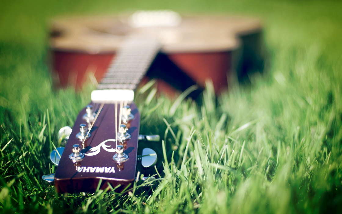 Gitarren,Musik,Grass,Werkzeuge