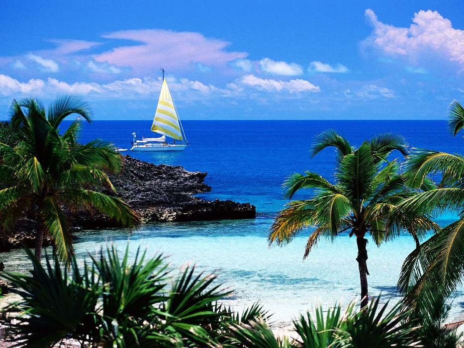 Landschaft,Wasser,Sea,Yachts,Palms