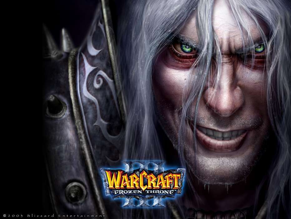 Spiele,Warcraft