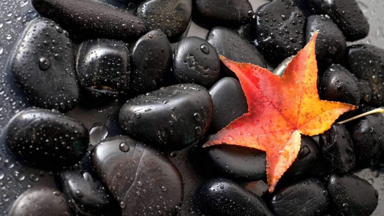 Hintergrund,Stones,Blätter,Drops