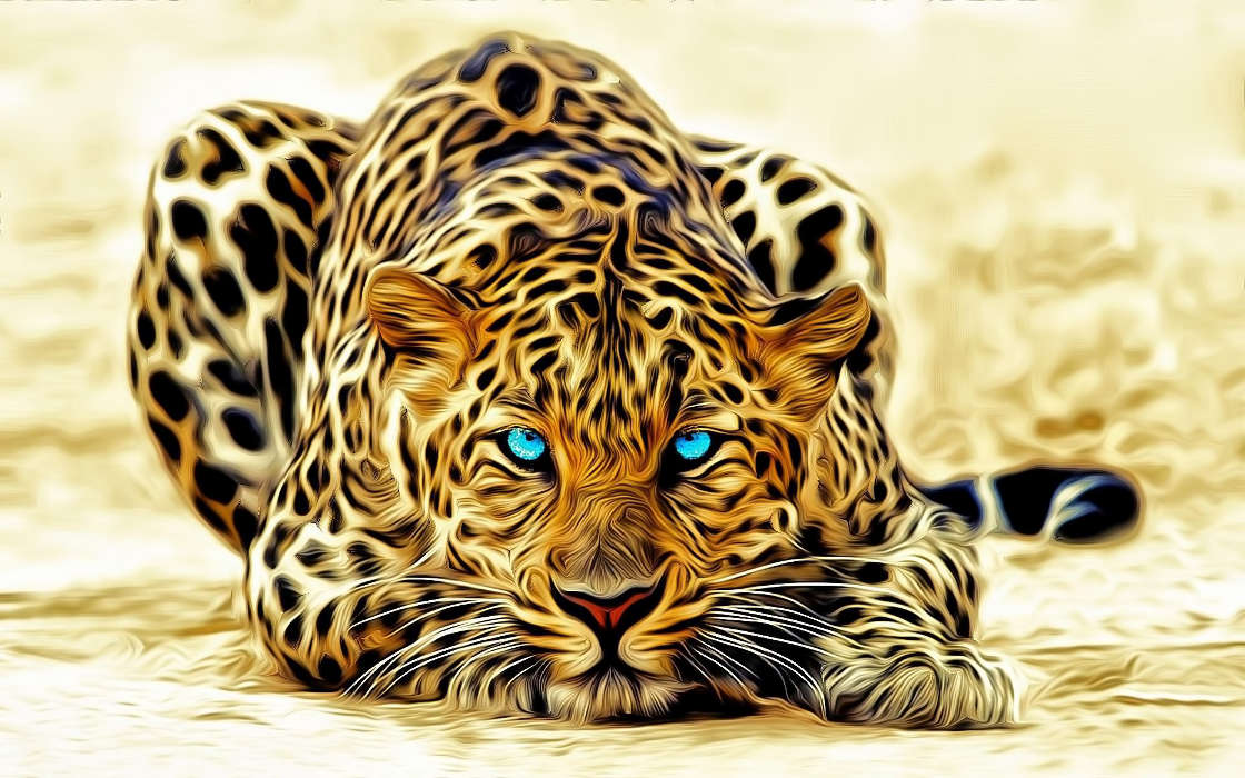 Leopards,Bilder,Tiere
