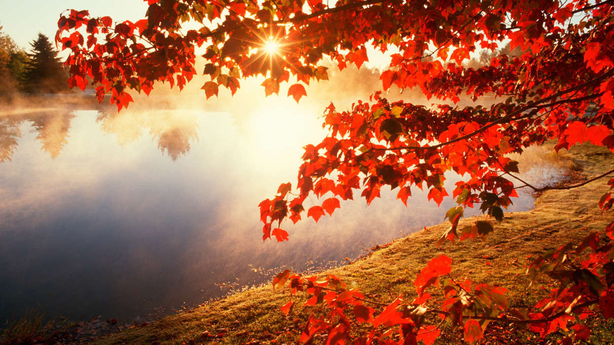 Landschaft,Flüsse,Herbst,Blätter,Sun