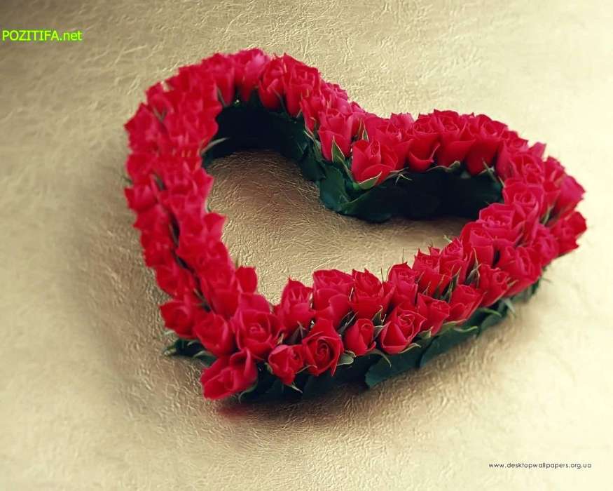 Pflanzen,Roses,Herzen,Liebe,Valentinstag,Postkarten