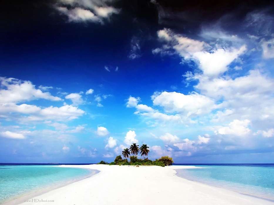 Sand,Palms,Landschaft,Sea,Clouds