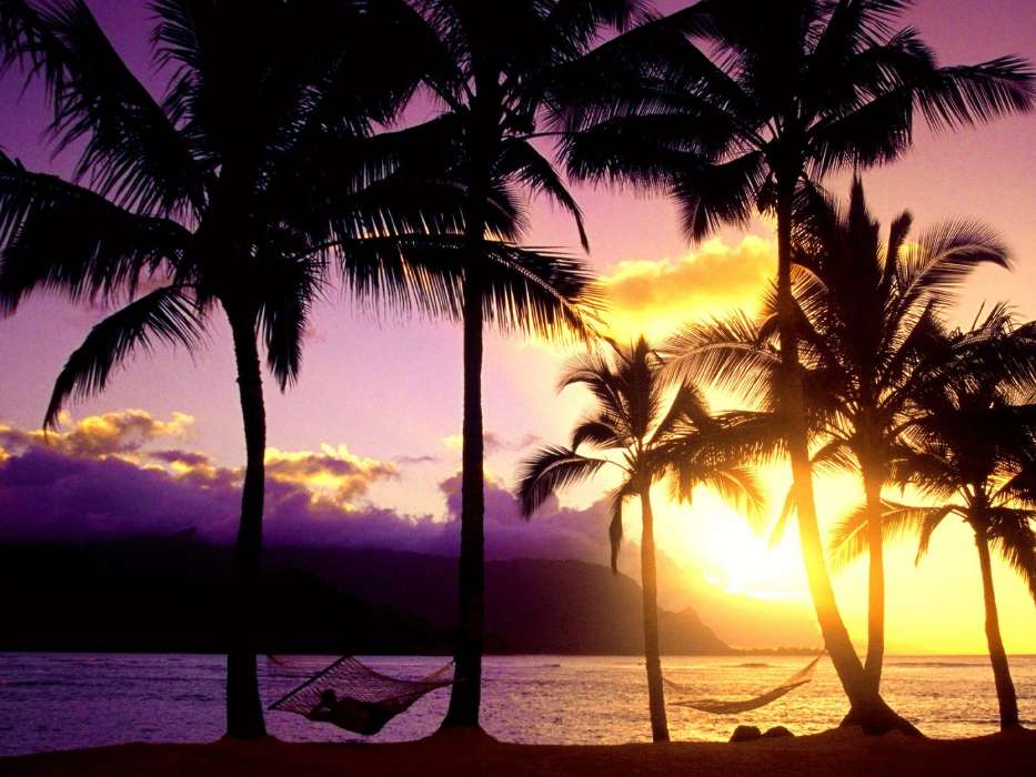 Sea,Palms,Landschaft,Natur,Sunset