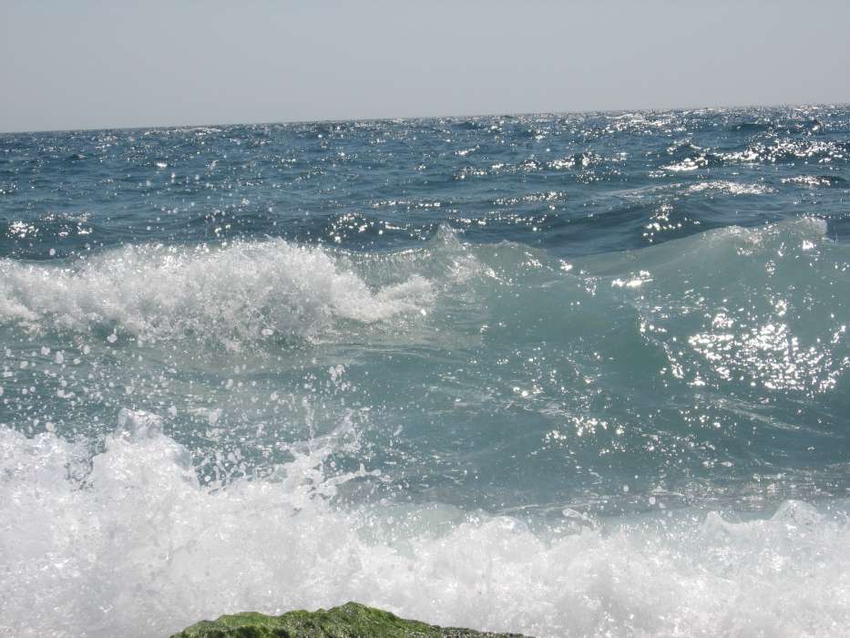 Landschaft,Wasser,Sea,Waves