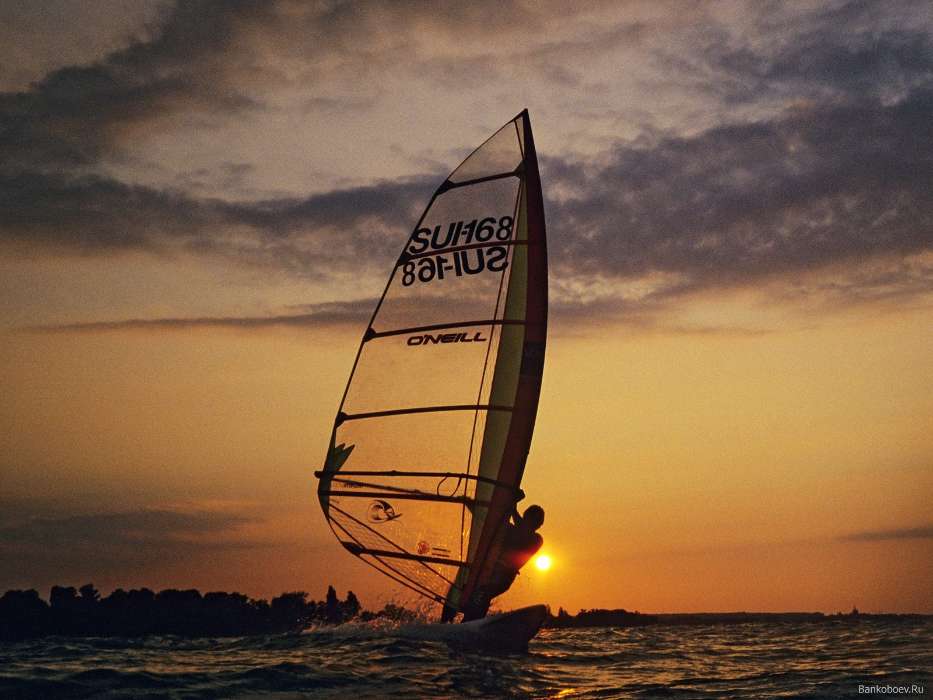 Sport,Sunset,Sea,Windsurfen