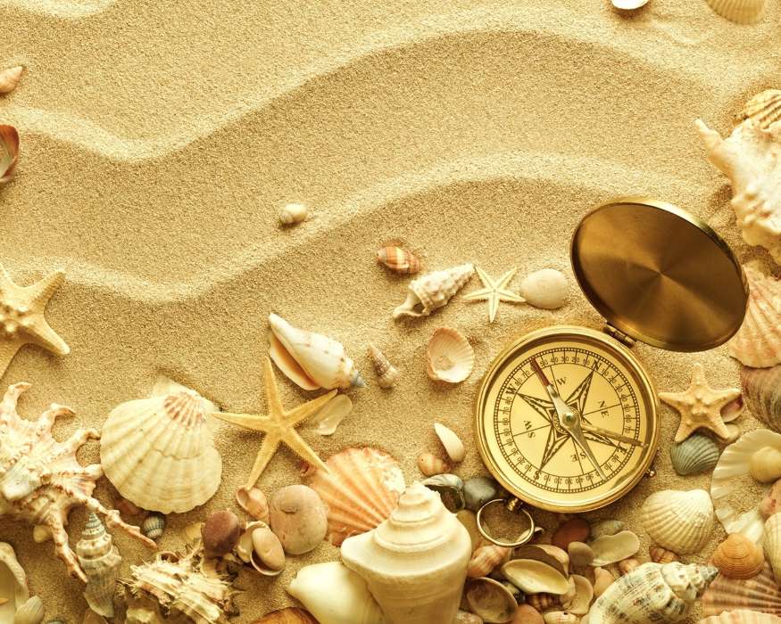 Hintergrund,Sand,Shells,Still-Leben