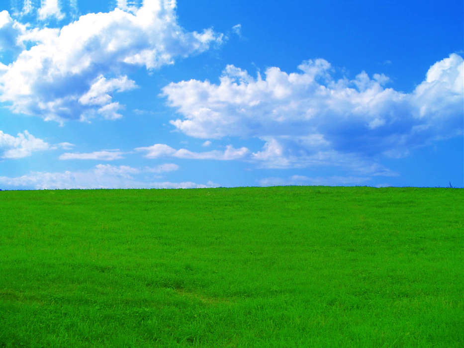Landschaft,Grass,Sky,Clouds