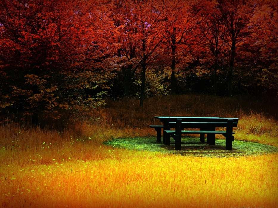 Objekte,Herbst,Landschaft