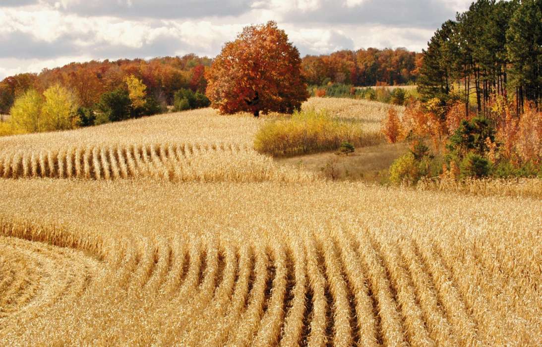 Landschaft,Felder,Herbst