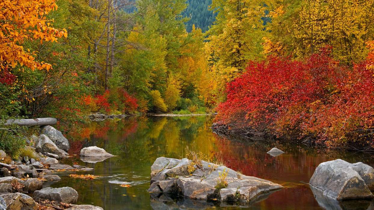 Herbst,Landschaft,Flüsse