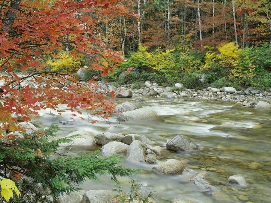 Herbst,Landschaft,Flüsse