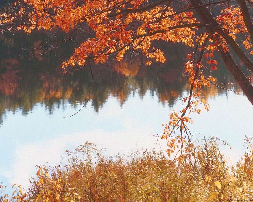 Landschaft,Flüsse,Herbst