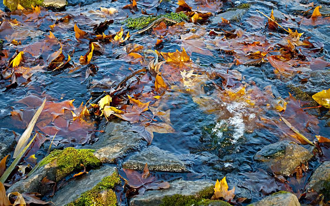 Herbst,Landschaft,Wasser