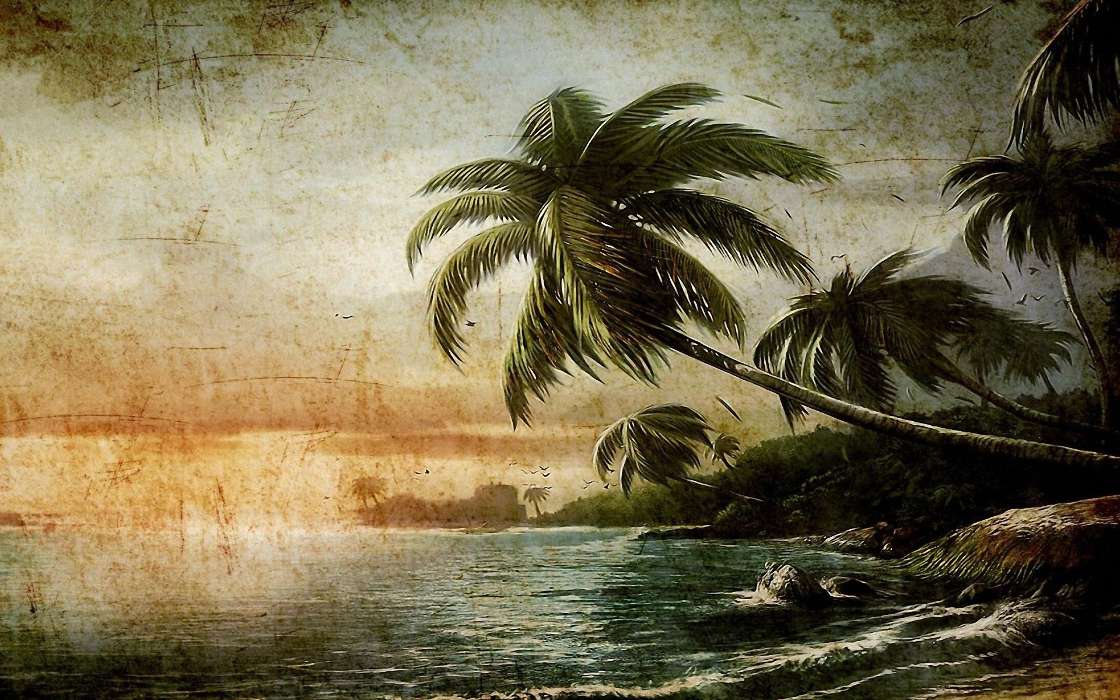 Palms,Landschaft,Strand,Bilder