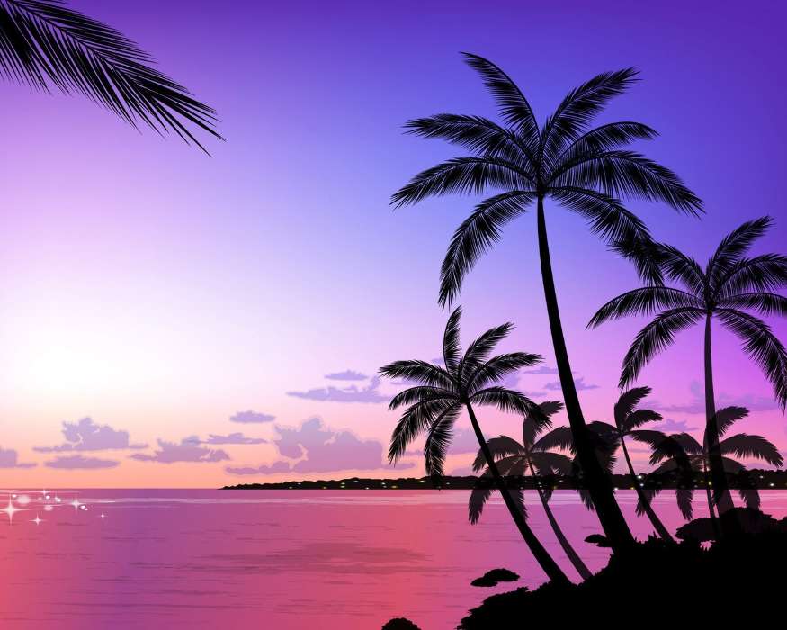 Landschaft,Sunset,Palms,Bilder
