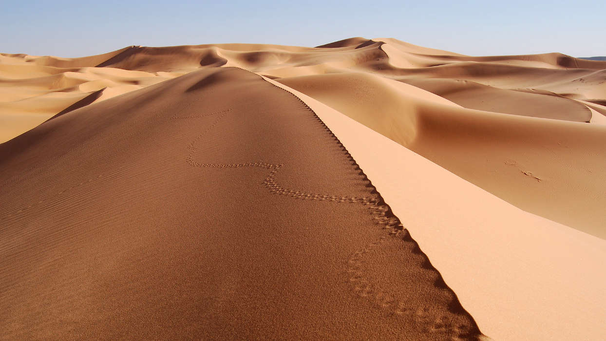 Landschaft,Sand,Wüste