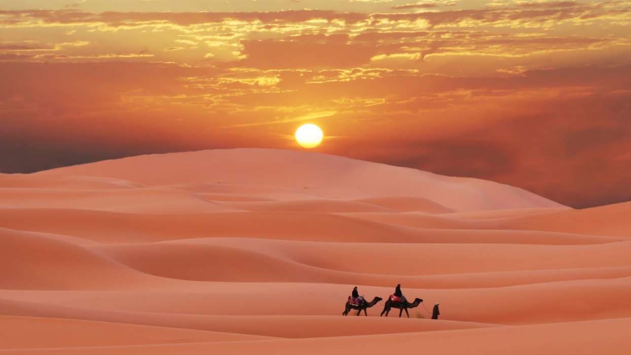 Landschaft,Sunset,Sand,Wüste,Kamele