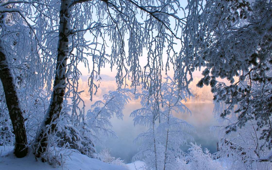 Landschaft,Natur,Winterreifen