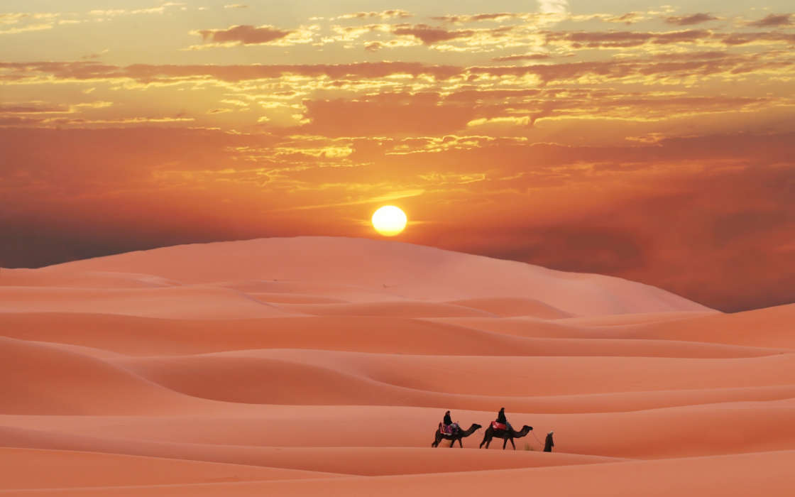 Landschaft,Wüste,Kamele