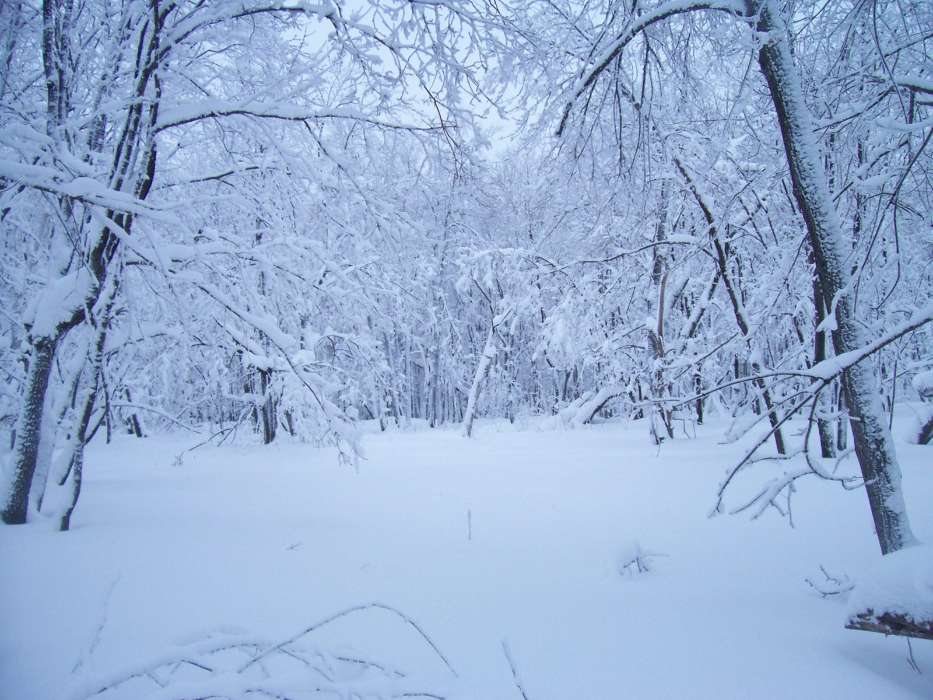 Landschaft,Winterreifen,Schnee