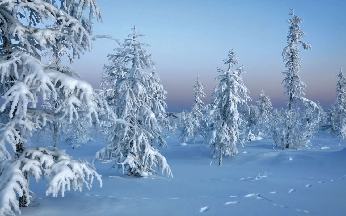 Landschaft,Schnee,Winterreifen