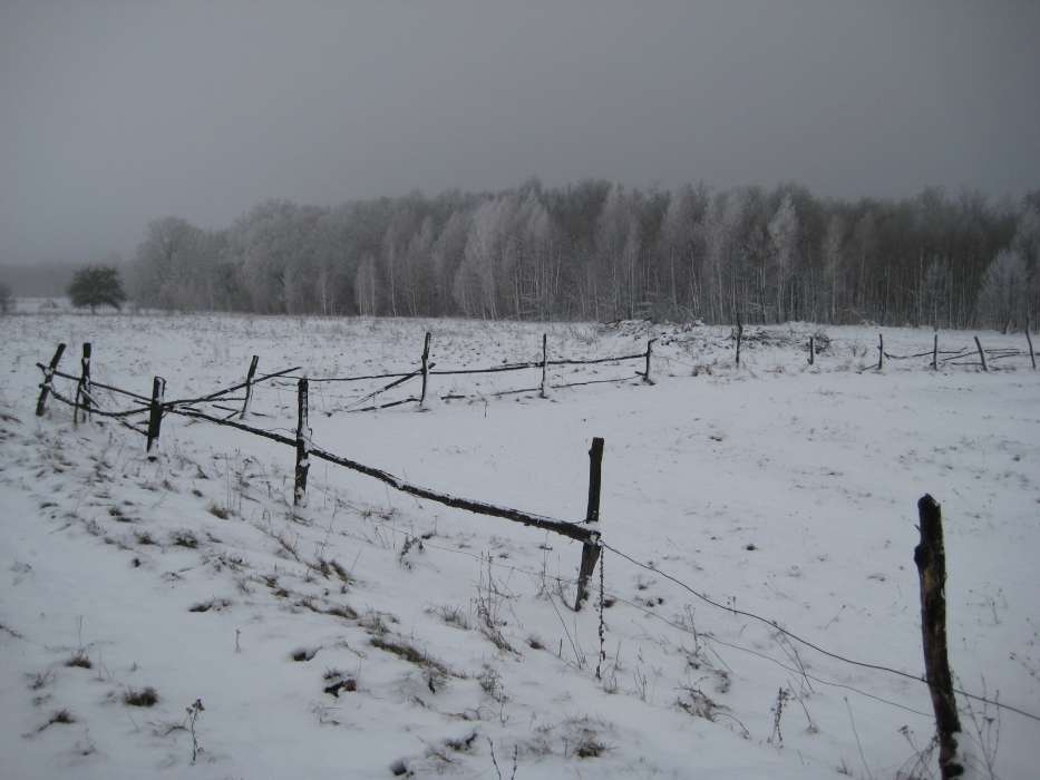 Landschaft,Winterreifen,Schnee