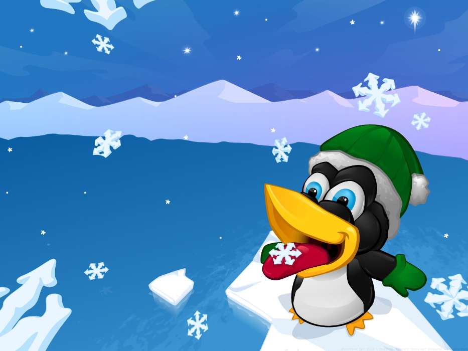 Winterreifen,Pinguins,Bilder,Schneeflocken