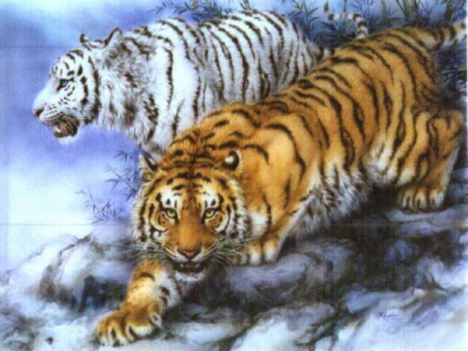 Tiere,Tigers,Bilder